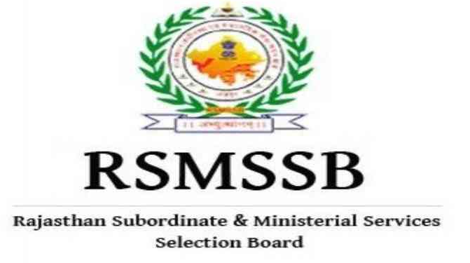 RSMSSB NTT Teacher Admit Card 2019 3